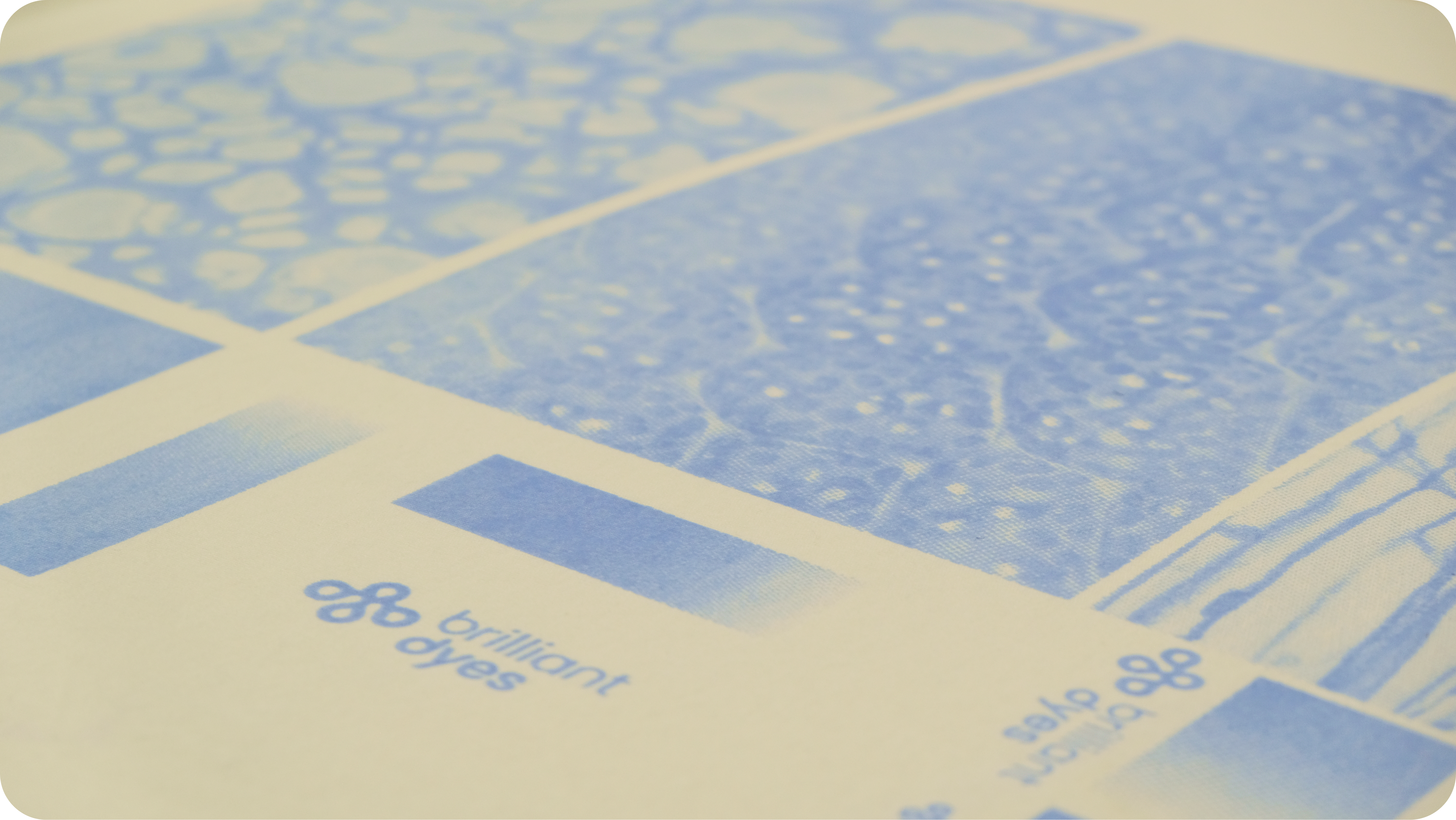 Brilliant Dyes colour samples